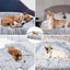 Removable Plush Pet Dog Bed