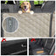 Dog Car Seat Cover