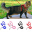 Adjustable Nylon Pet Harness and Leash