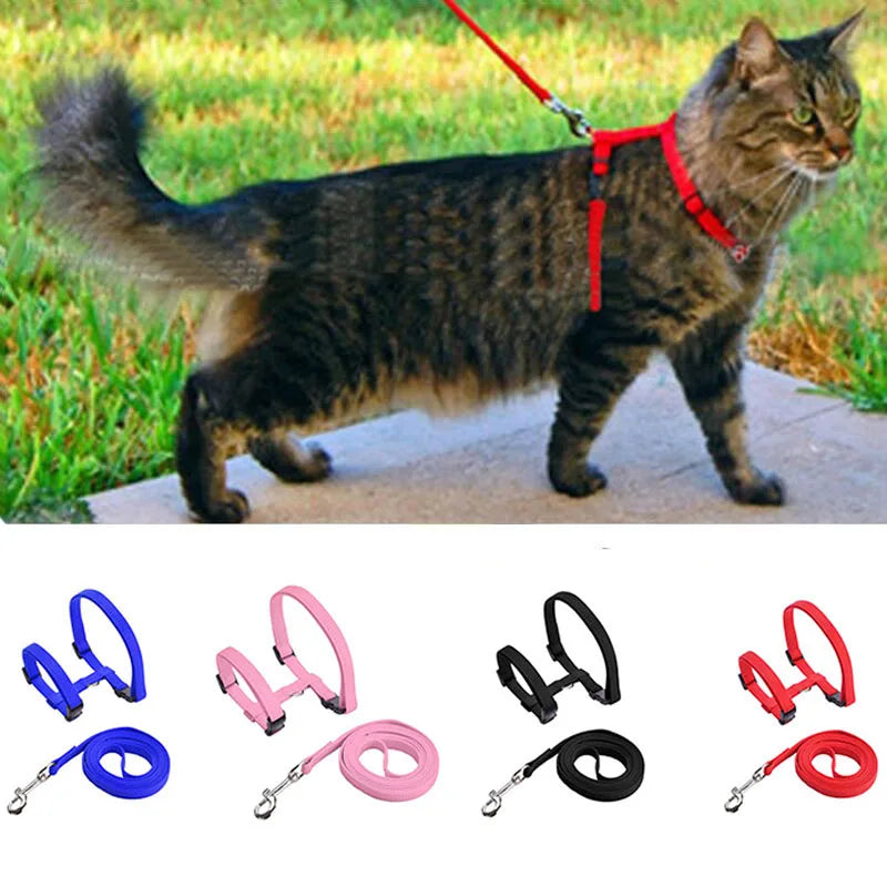 Adjustable Nylon Pet Harness and Leash