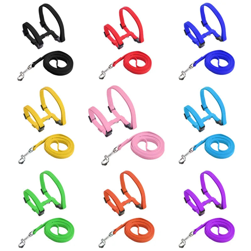 Adjustable Nylon Pet Harness and Leash