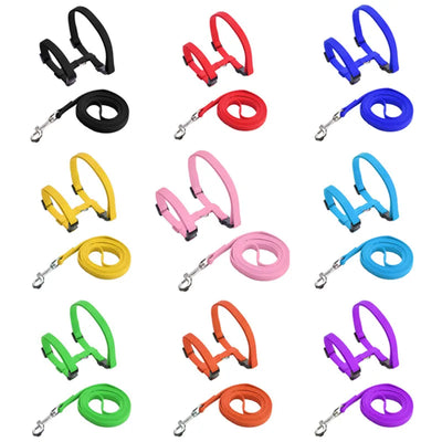 Adjustable Nylon Pet Harness and Leash