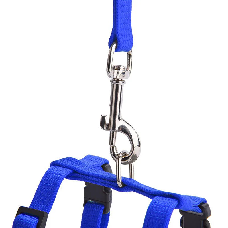 Adjustable Nylon Pet Harness and Leash