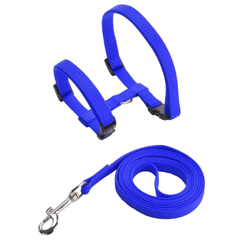 Adjustable Nylon Pet Harness and Leash