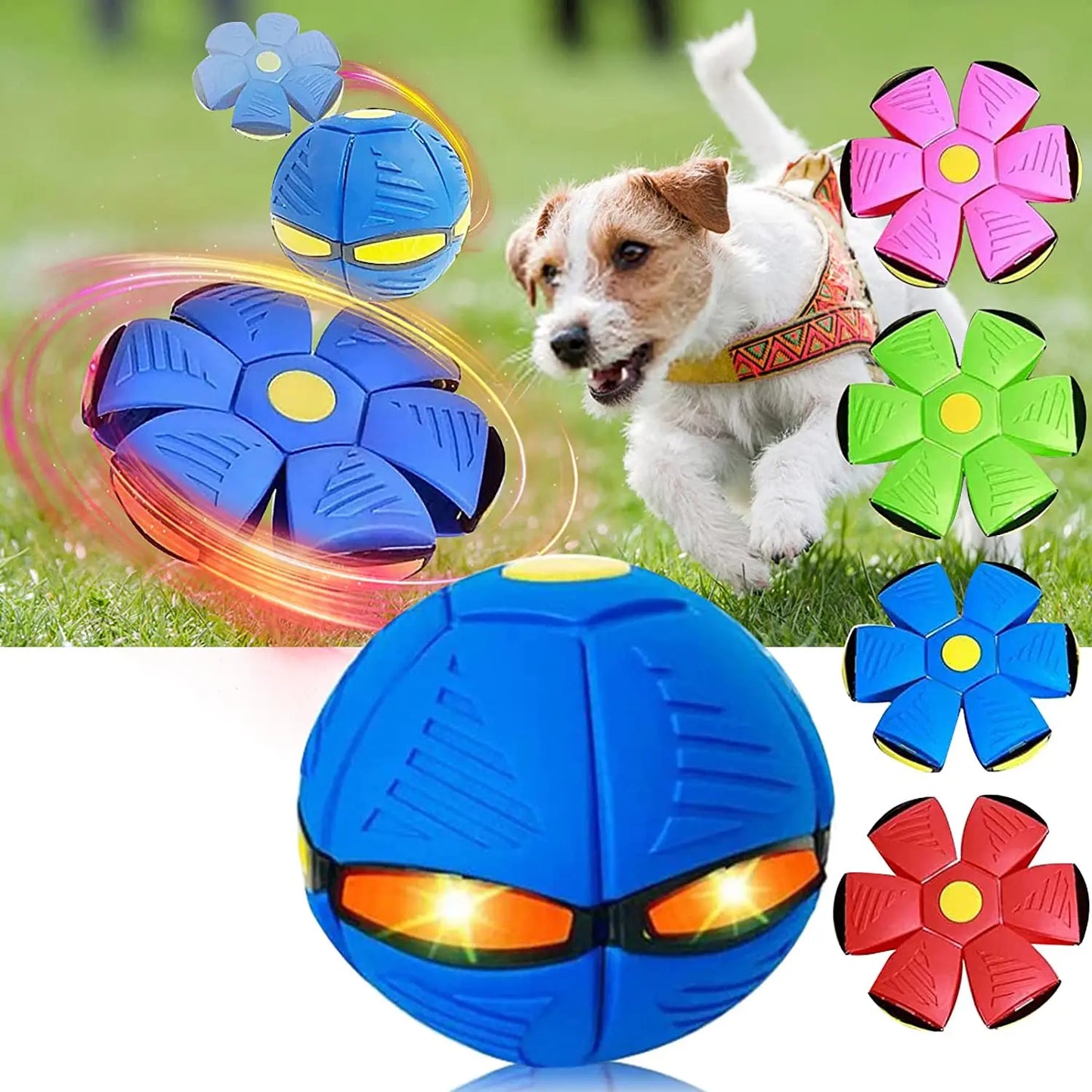 Pet Dog Toy Magic Flying Saucer Ball