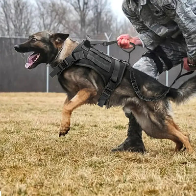 Tactical Dog Vest